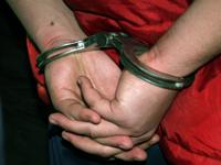 Hoti de meserie, arestati de politisti