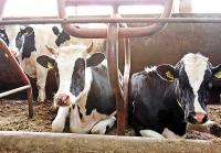 41 de tineri salajeni, incurajati sa devina fermieri