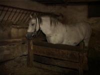 Amendati pentru scandal, intr-o actiune preventiva