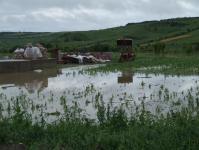 In urma inundatiilor, pagube enorme