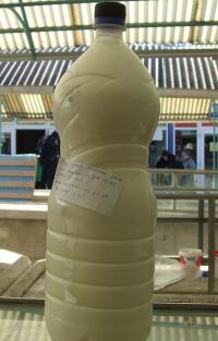 Fermier amendat ca vindea lapte fara acte