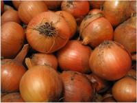 Ceapa-n monument. La Pericei