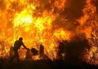 Canicula favorizeaza inmultirea incendiilor 
