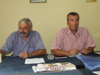 Guvernul comaseaza Directiile de Tineret si Sport 
