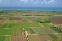 Agricultura ecologica, incurajata cu bani europeni