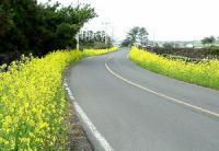 La Jibou se poate trece la exproprieri pentru realizarea soselei ocolitoare