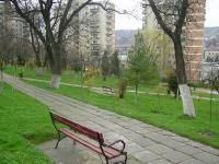 Adevaratele valori locale sunt o parte din noi: promisiuni de reabilitare a parcului central