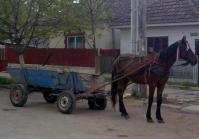 Carutele din gospodariile salajenilor, desenate in Registrul Agricol
