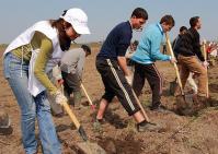 Salajenii sunt invitati la Prima impadurire a terenurilor agricole