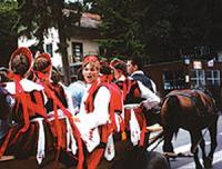 Zalaul se transforma in centrul de comanda al UDMR