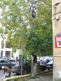 Becurile stalpilor pun in pericol viata zalauanilor