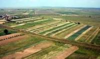 Majorari la plata impozitului pe venitul din activitati agricole 