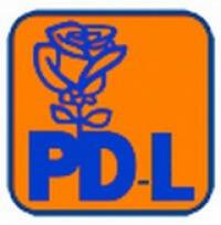 Imbulzeala de personalitati la alegerile din PDL Salaj