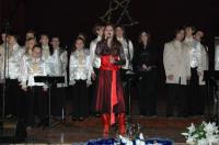 Elevi de la Arte Plastice in concert 