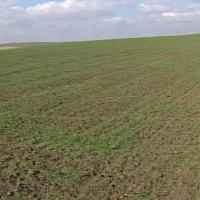 48 de proiecte din agricultura au prins fonduri europene