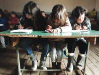 Prevenirea abandonului scolar, in proiect la Inspectoratul Scolar