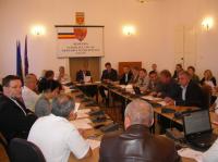 Liberal validat in Consiliul municipal