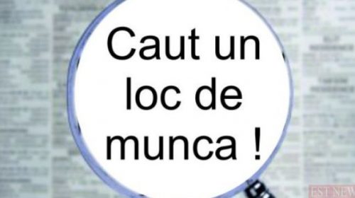locuri de munca salaj