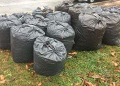 Sălajul, exemplu în România. Jumătate din deşeurile colectate în judeţ nu mai ajung la groapa de gunoi, ci sunt reciclate sau incinerate