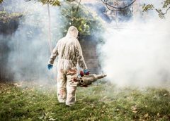 Amplă acțiune de dezinsecție în Zalău