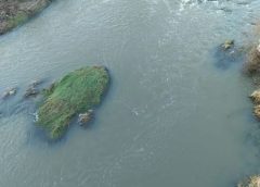 Râul Crasna, poluat cu urină și fecale de animale