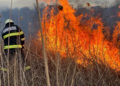 Foc la granița Sălajului cu Maramureșul