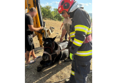 Misiune inedită la Marca. Un cal a fost salvat dintr-o fântână
