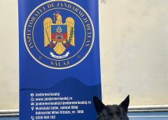 Câinele jandarm Ozzy, în mijlocul elevilor din Zalău