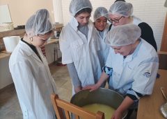 Elevii Liceului Tehnologic „Ioan Ossian” din Șimleu Silvaniei învață tehnica producerii cașcavalului cu leurdă