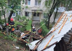 Efectele furtunii în Sălaj: copaci doborâți de vânt și acoperișuri smulse