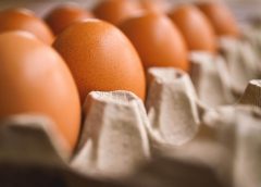 Preţul ouălor a scăzut în Zalău